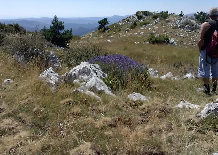 La Foux De Holiday home Peyroules